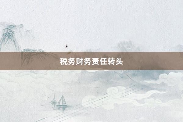 税务财务责任转头